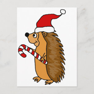 Funny Igel in der Weihnachtsmannmütze Weihnachten 