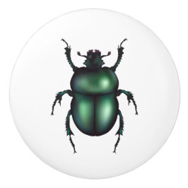 Funny Insect  Keramikknauf