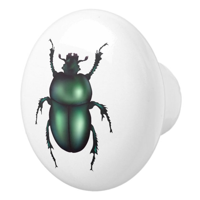 Funny Insect  Keramikknauf (Rechts)