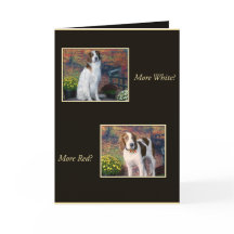 Funny Irish Red and White Setter Birthday Card