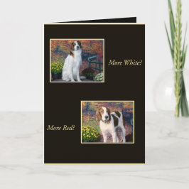 Funny Irish Red and White Setter Birthday Card Karte