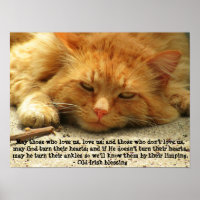 Funny Irish Segen mit Smilly Kitty