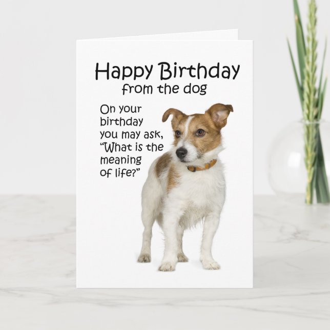 Funny Jack Russell Terrier Carte d'anniversaire (Devant)