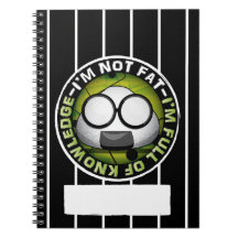 Funny japanese riceball