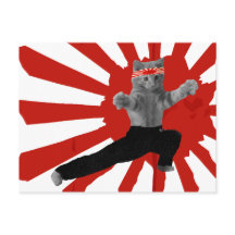 Funny Karate Kitten Geschenke