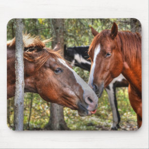 Funny Kastnut Stallion & Mare in einem waldreichen Mousepad