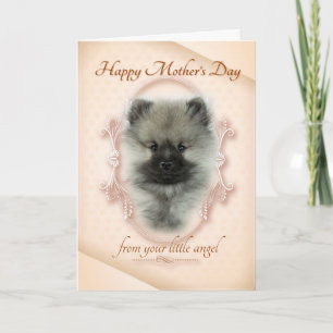 Funny Keeshond carte de fête des mères
