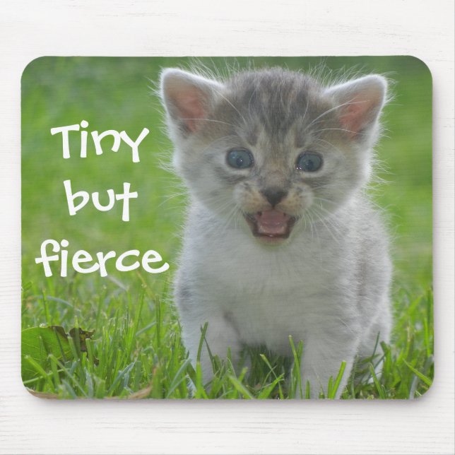 Funny Kitten Caption Tiny aber Fierce Mousepad (Vorne)