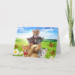 Funny Kittens auf grünem Feld. Karte