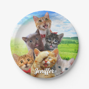 Funny Kittens auf grünem Feld. Pappteller