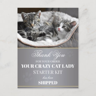 Funny Kittens Carte postale d'anniversaire