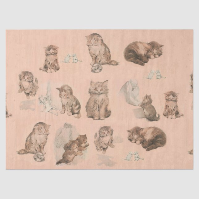 FUNNY KITTY CAT STORIES IN PINK SEIDENPAPIER (Vorderseite)