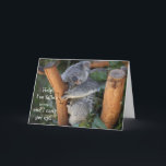 Funny Koala Bear, Belated Birthday Card Karte<br><div class="desc">Funny Koala Bär,  Belated Birthday Card inside: Belated Birthday Wishings...  Entschuldige,  dass ich durch deinen besonderen Tag geschlafen habe!</div>