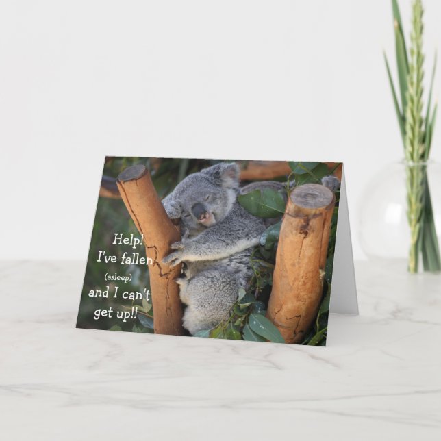 Funny Koala Bear, Carte Anniversaire Anniversaire (Devant)