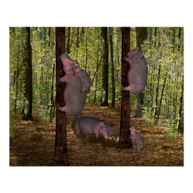 Funny Koala-Wannabe Hippos Poster (Vorderseite)