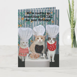 Funny Koch Cats Geburtstag Karte
