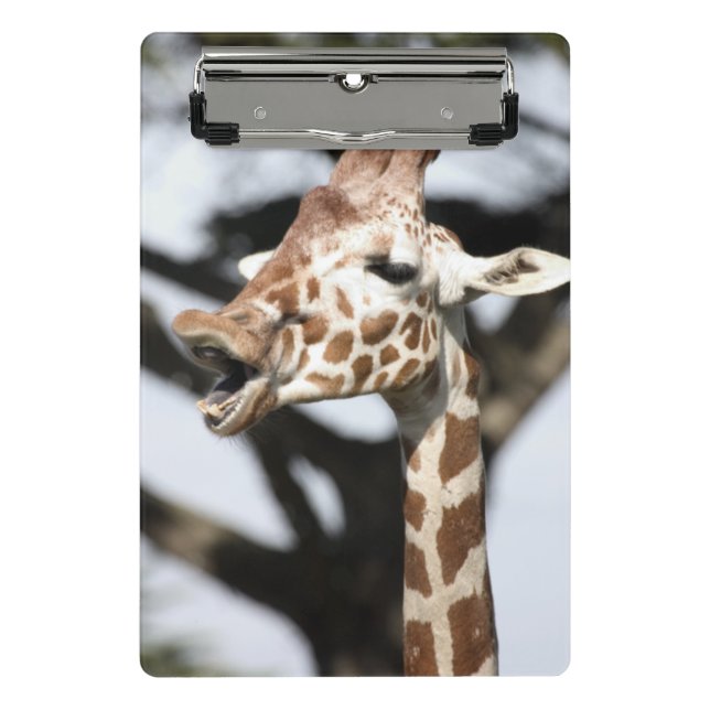 Funny konfrontiert reticulated Giraffe, San Franci Mini Klemmbrett (Vorderseite)