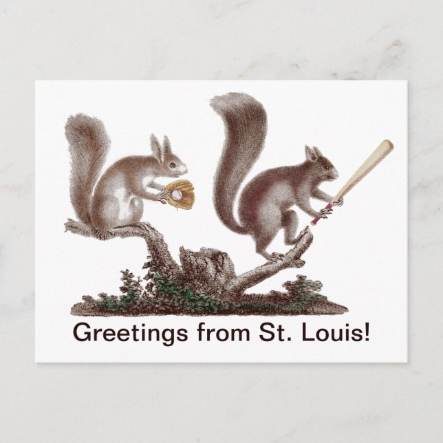 Funny Kundgebung Eichhörnchen Grüße von St. Louis! Postkarte (Vorderseite)
