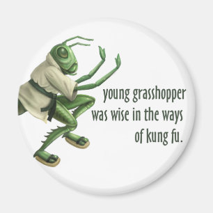 Funny Kung Fu Grasshopper Magnet