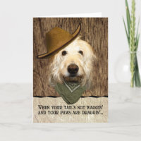 Funny Labradoodle in Cowboy Hat Bandana wird gut