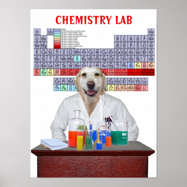 Funny Labrador Chemistry Poster für Lehrer (Vorne)