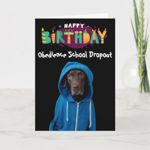 Funny Labrador chien carte d'anniversaire
