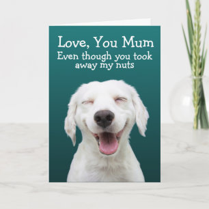 Funny labrador Geburtstagskarte Karte