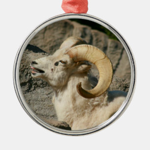 Funny Laughing Bighorn Sheep oder Ram Silbernes Ornament