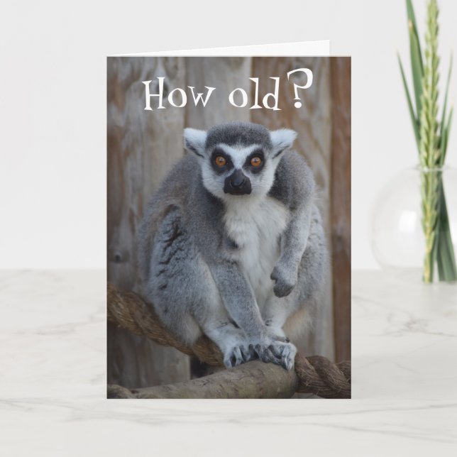Funny Lemur Card Karte (Vorderseite)