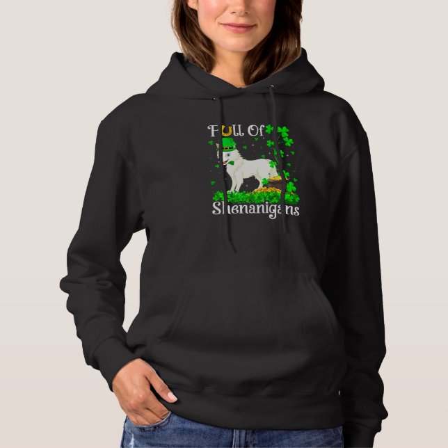 Funny Leprechaun Kleeblatt Leaf Arctic Wolf St Pat Hoodie (Vorderseite)