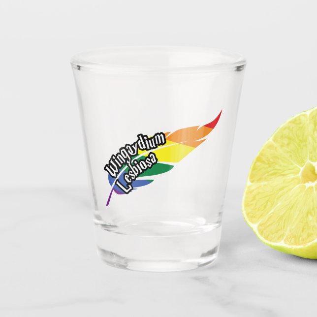 Funny LGBTQ | Wortspiel | Stolz | Regenbogen Schnapsglas (Vorderseite)