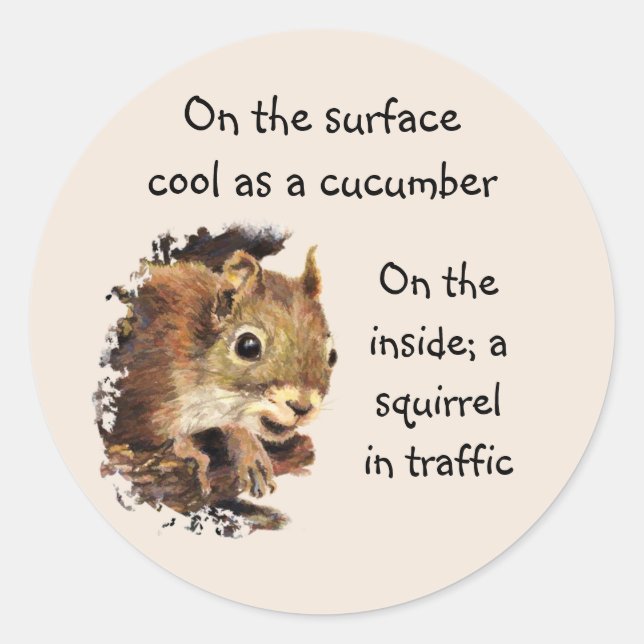 Funny Life Quote Surface Cool Insider Eichhörnchen Runder Aufkleber (Vorderseite)