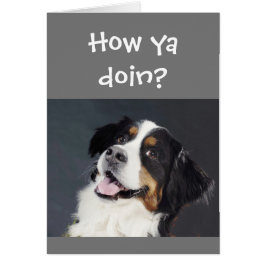 Funny Lighthearted Thinking You Niedlich Dog