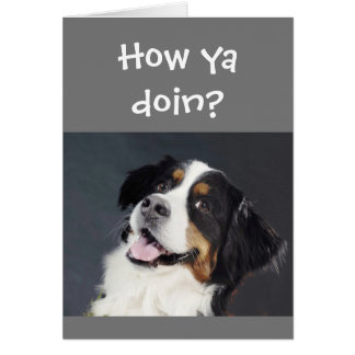 Funny Lighthearted Thinking You Niedlich Dog