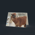Funny Llama Birthday Card Karte<br><div class="desc">Funny Llama Birthday Card Text kann leicht personalisiert werden - oder den von mir ausgewählten Text behalten werden - Hoffe,  dein Geburtstag ist ein ganz besonderer Lama-Spaß,  denn du bist so toll.</div>