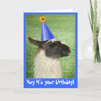 Funny Llama carte d'anniversaire ou invitation