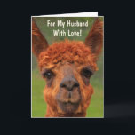 Funny Llama "For My Husband" Geburtstagskarte Karte<br><div class="desc">Zeig deinem Mann,  wie sehr du ihn mit dieser unterhaltsamen Lama-Karte Liebe! Personalisieren Sie die Botschaft und lassen Sie seine Träume wahr werden. Vielen Dank für die Suche! Foto ©Christine Greenspan</div>
