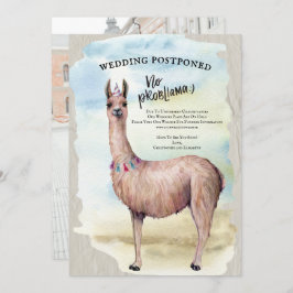 Funny Llama Hochzeit Foto verschoben Datum ändern Einladung