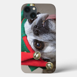 Funny looking pug with tongue hanging out title_seo2