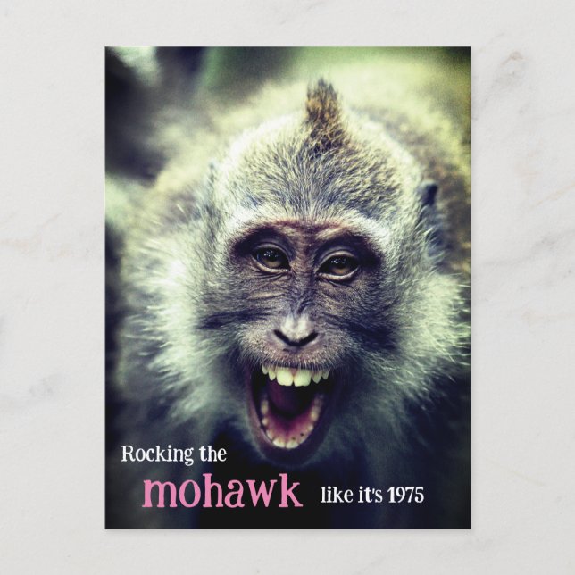 Funny Macaque Foto Feiertagspostkarte (Vorderseite)