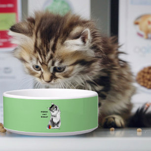 Funny Maine Coon Cat repariert Napf