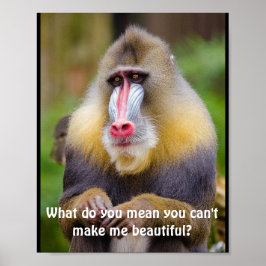 Funny Mandrill Stylisten Poster