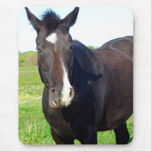 Funny Mare Mousepad