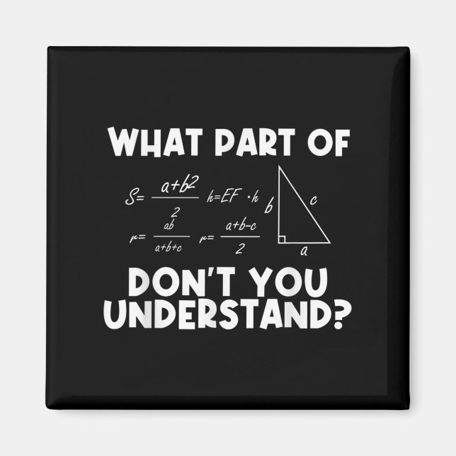Funny Math Quote Mathematics Dear Math Teacher Sol Magnet (Vorne)