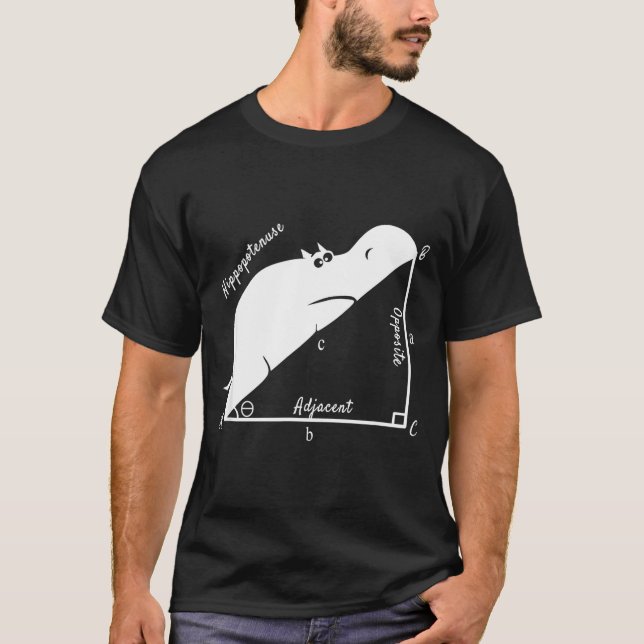 Funny Math Teacher,funny Hiptenuse,geometry Teache T-Shirt (Vorderseite)