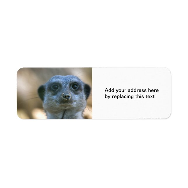 Funny Meerkat Custom Return Address Label (Vorne)