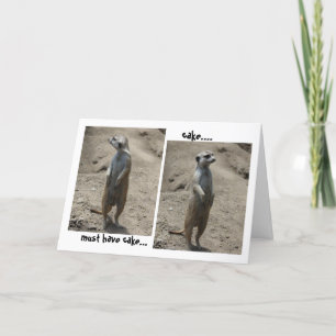 Funny Meerkat Geburtstagskarte; Ich muss Kuchen ha Karte