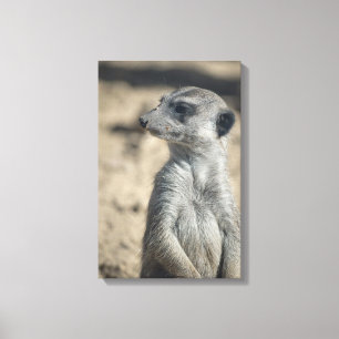 Funny Meerkat Leinwanddruck