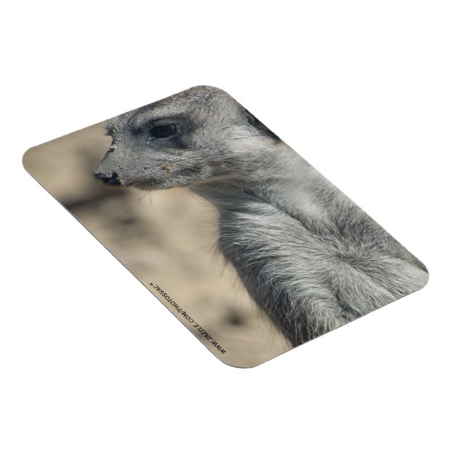 Funny Meerkat Magnet (Rechte Seite)