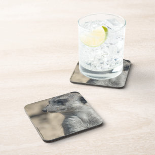 Funny Meerkat Untersetzer